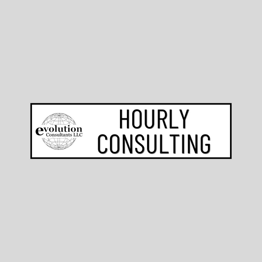 Hourly Consulting